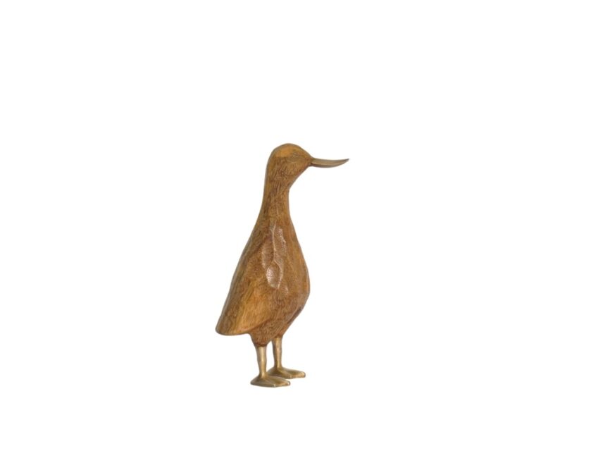 Wood and Brass duck