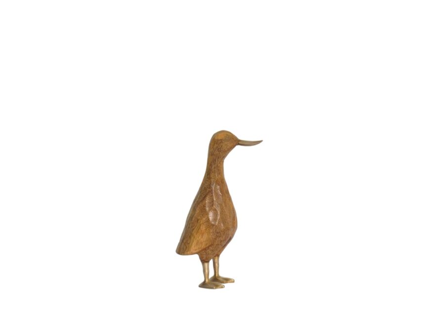 Wood and Brass duck